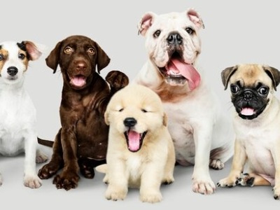 lnicio 2 Picsart 25 12 17 18 53 37 573