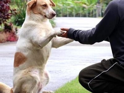 lnicio 3 Picsart 25 12 17 18 58 06 057