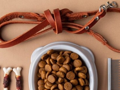 lnicio 4 Picsart 25 12 17 19 01 31 935