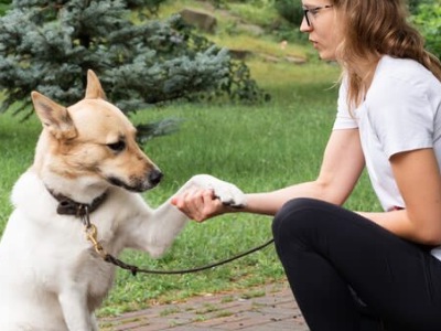 lnicio 5 Picsart 25 12 17 19 04 25 370