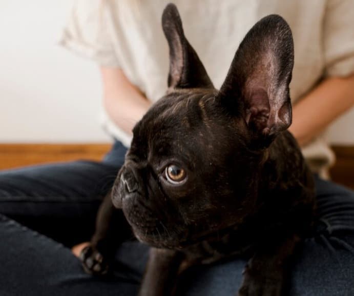 Picsart 25 12 21 10 09 34 352