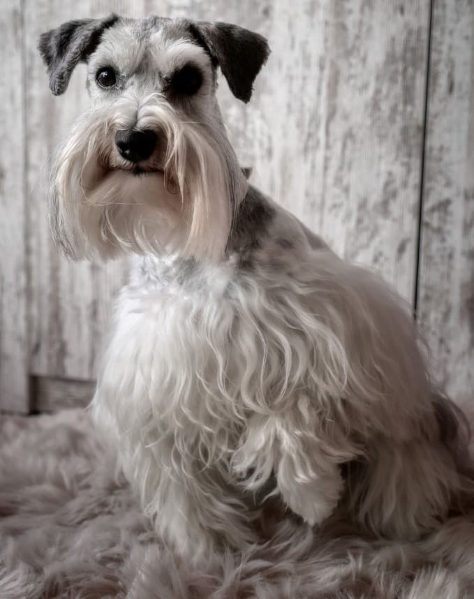 Picsart 26 02 11 17 09 33 414