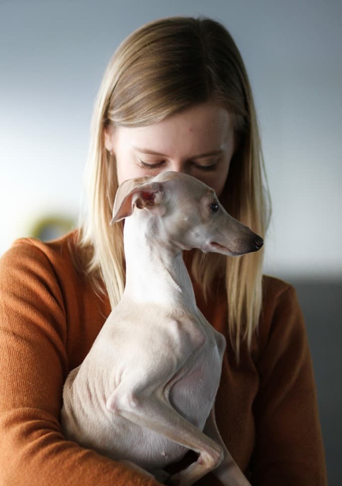 Una joven con un Galgo Italiano en brazos