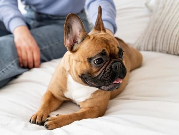 Picsart 26 01 13 21 31 13 253