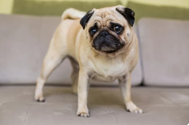 Picsart 26 01 18 17 52 33 769