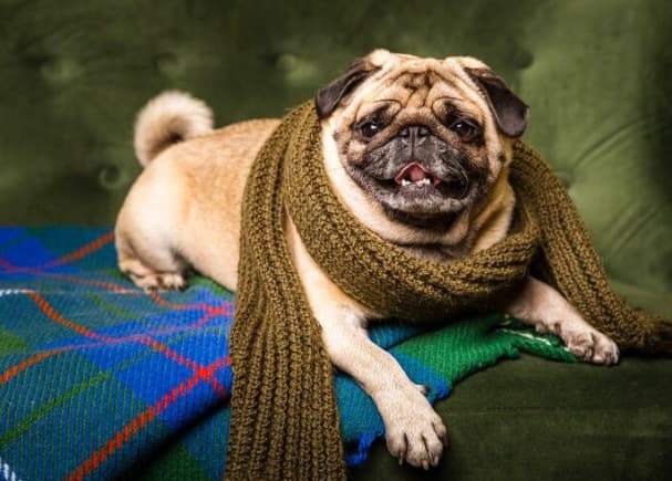 Picsart 26 01 18 17 55 06 934