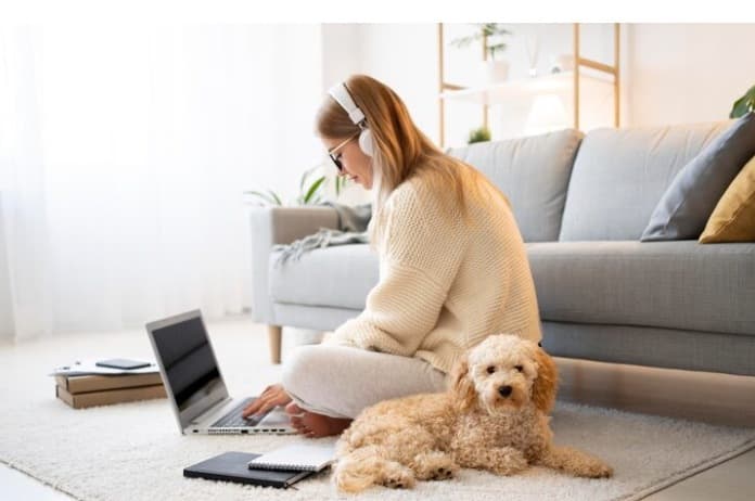 Caniche Toy para Apartamento: La Raza Inteligente 1 Picsart 26 01 23 17 28 52 424