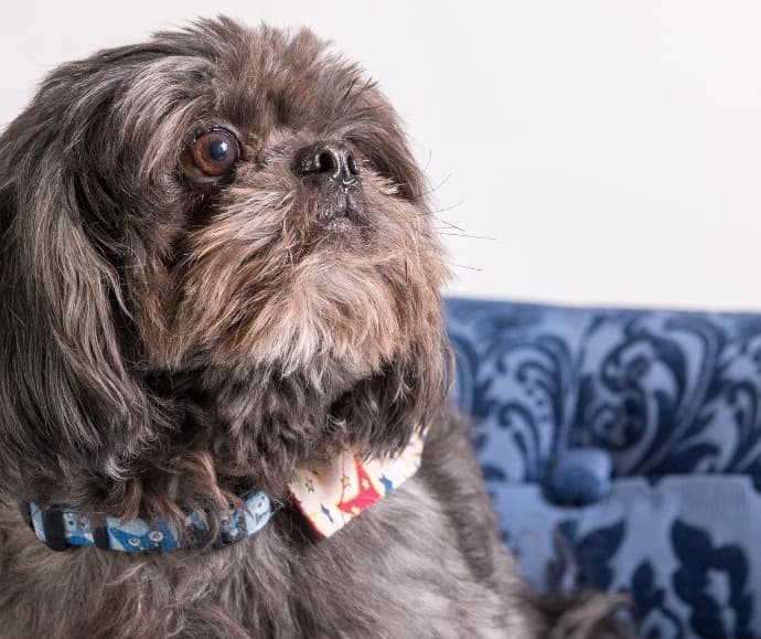 Picsart 26 01 31 10 04 36 492