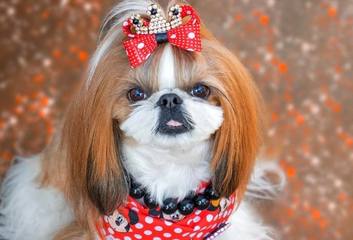 Picsart 26 01 31 10 05 30 646