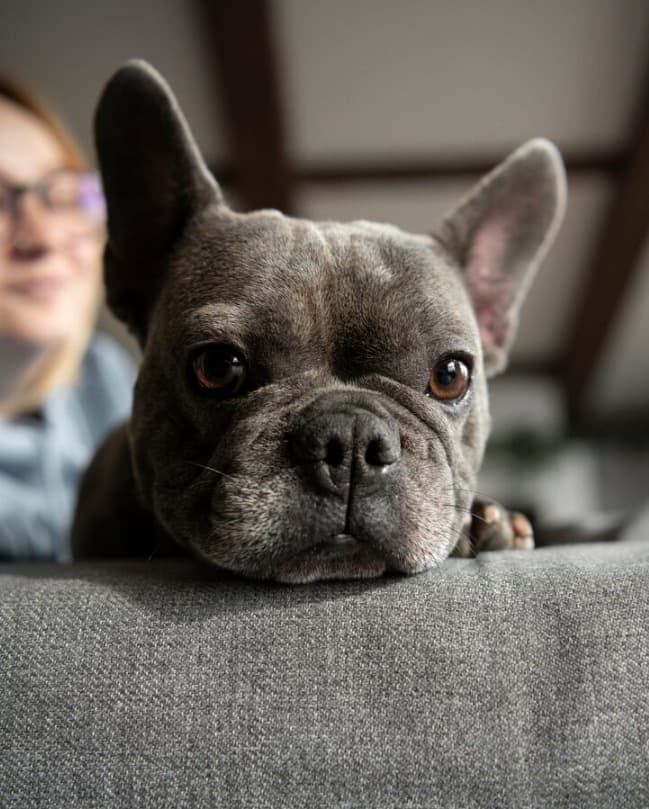 Picsart 25 12 16 08 58 45 958