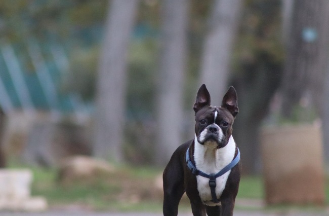 Picsart 25 12 16 20 17 52 463