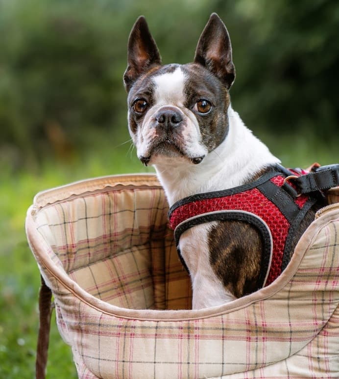 Picsart 25 12 16 20 19 43 785