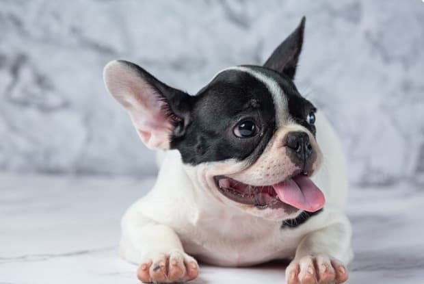 Picsart 26 02 03 15 54 24 491