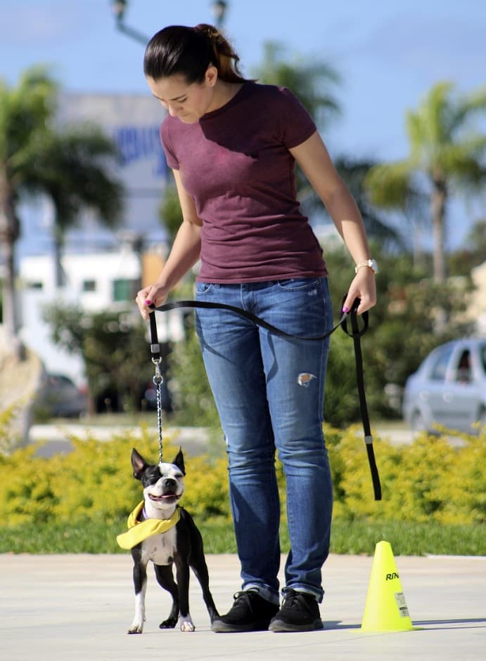 Picsart 26 02 03 15 57 59 464