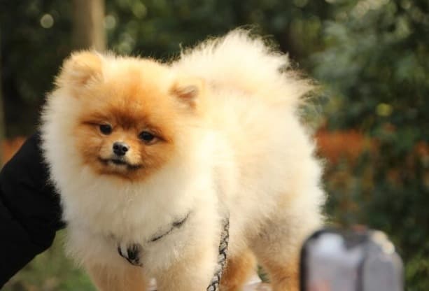 Picsart 26 02 09 13 17 13 453