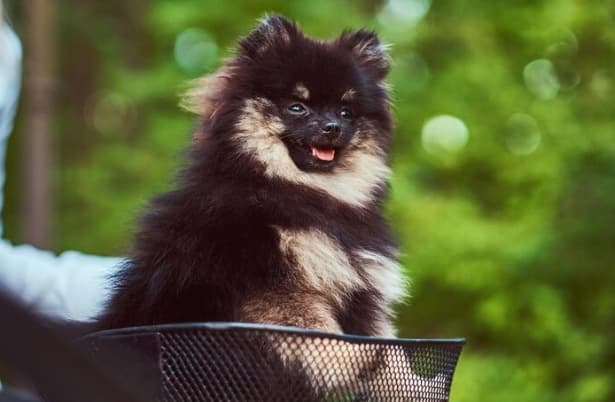 Picsart 26 02 09 13 18 58 091