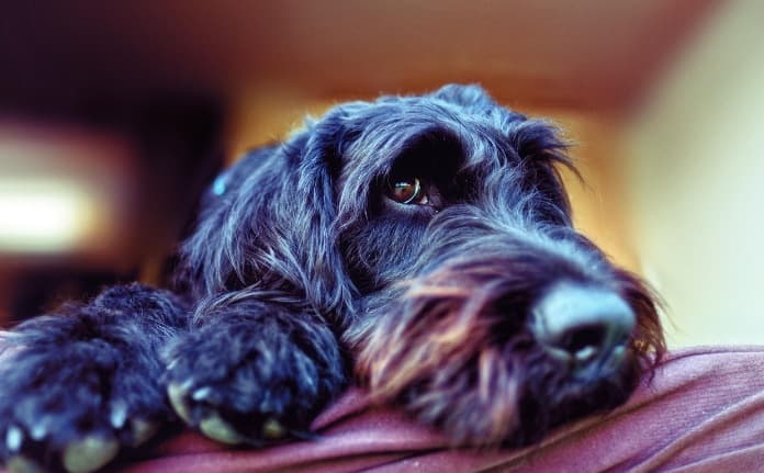 Picsart 26 02 11 17 10 19 355