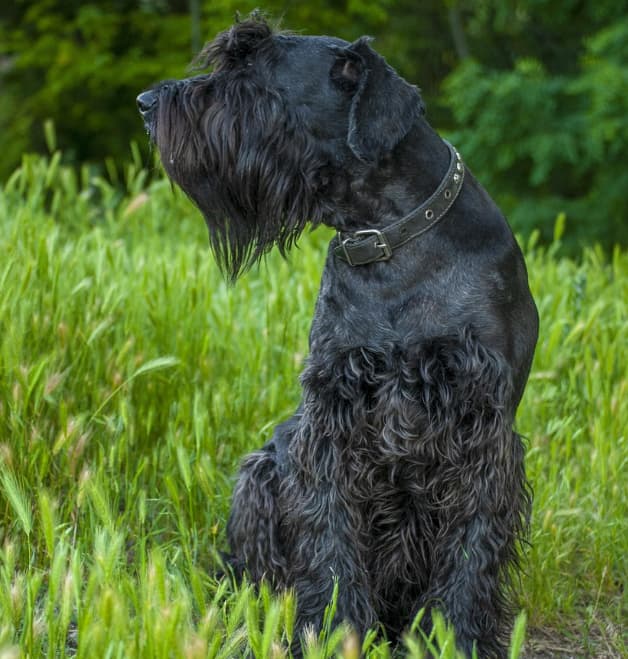 Picsart 26 02 11 17 11 47 392