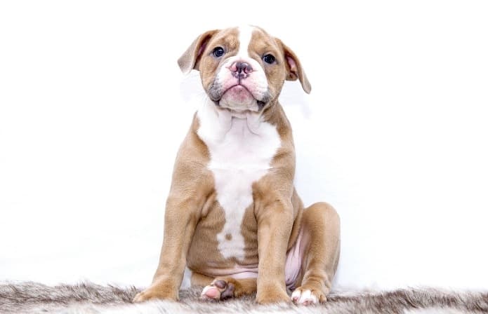 Picsart 26 02 16 11 49 13 319