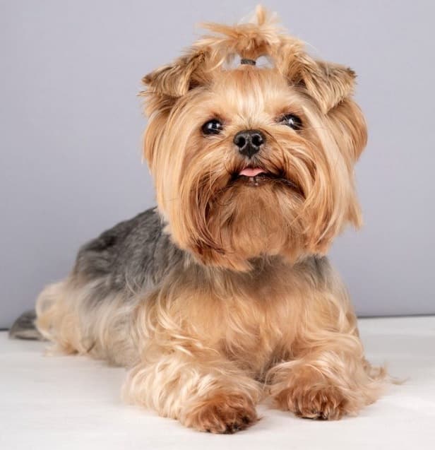 Picsart 26 01 29 18 22 29 109