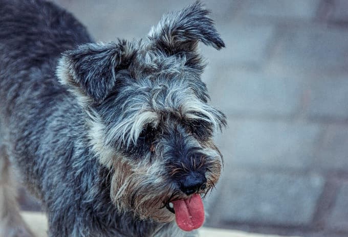 Picsart 26 02 11 17 11 00 126